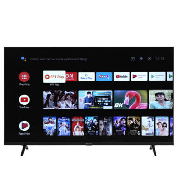 Tivi Vsmart 4K 49 inch 49KE8100